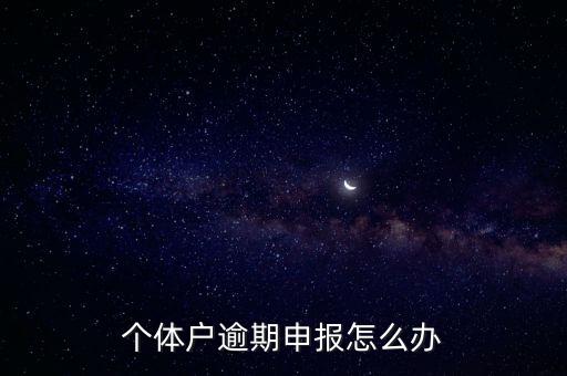 個(gè)體戶(hù)逾期申報(bào)怎么辦