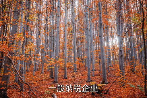 什么是增值稅一般納稅企業(yè)，什么是一般納稅人公司