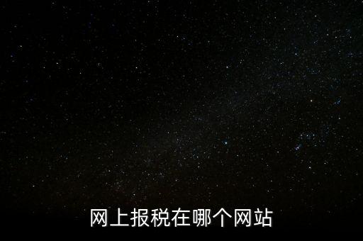廣西網(wǎng)上辦稅的網(wǎng)址是什么意思，網(wǎng)上報稅在哪個網(wǎng)站