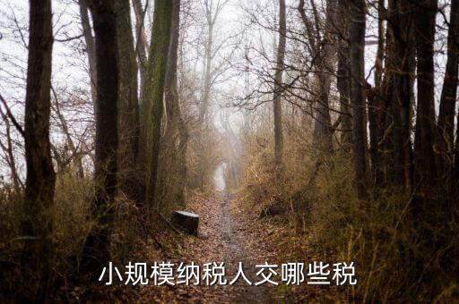 小規(guī)模都交什么稅，小規(guī)模納稅人要交什么稅