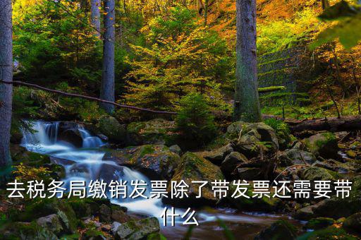發(fā)票繳銷需要什么，未使用的發(fā)票如何繳銷需要哪些資料
