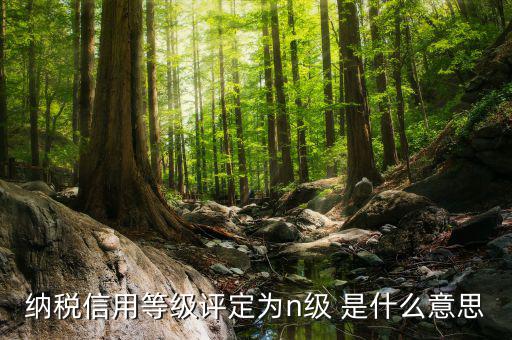 國稅信用級別是什么，納稅信用等級評定為n級 是什么意思