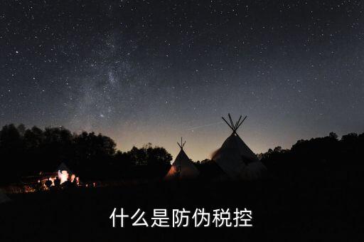 防偽稅控盤什么，什么是防偽稅控