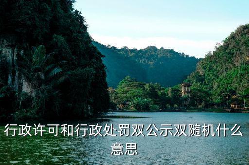 什么是稅務(wù)稽查雙隨機機制，行政許可和行政處罰雙公示雙隨機什么意思