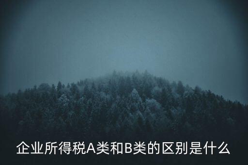 企業(yè)所得稅b類是什么意思，企業(yè)所得稅A類和B類的區(qū)別是什么