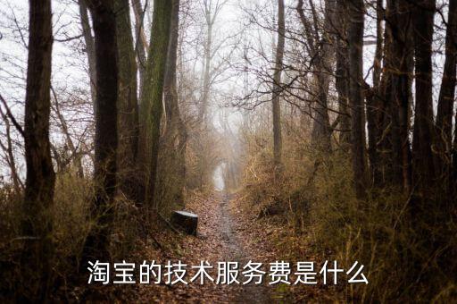 技術(shù)咨詢服務(wù)費指什么，醫(yī)藥行業(yè)技術(shù)服務(wù)費包含什么內(nèi)容