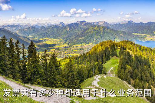什么業(yè)務(wù)應(yīng)該專業(yè)發(fā)票，單位收費開票1定要專業(yè)的