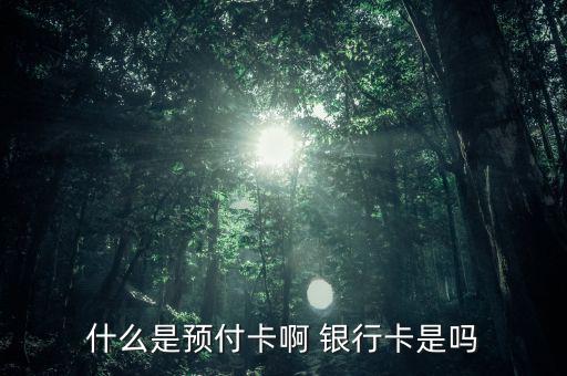 支付機(jī)構(gòu)預(yù)付卡是什么意思，銀聯(lián)預(yù)付卡是什么意思