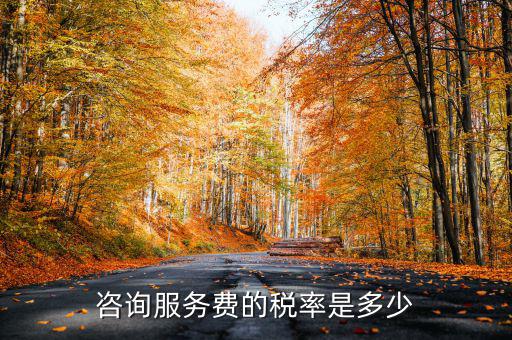 咨詢服務(wù)交什么稅，公司收到一筆咨詢費(fèi)應(yīng)該如何納稅稅率是多少急謝謝