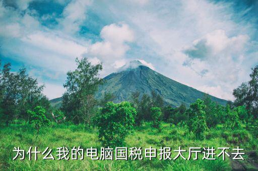 陜西國家稅務局為什么上不去，為什么我的電腦國稅申報大廳進不去