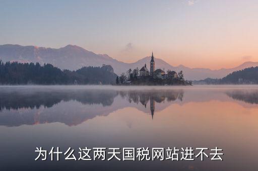為什么濟南國稅網站進不去，為什么這兩天國稅網站進不去