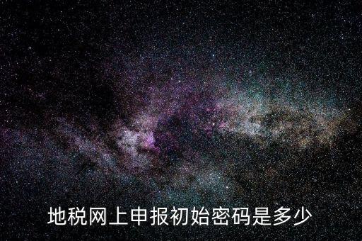 地稅網上申報初始密碼是多少