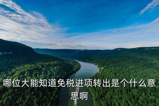 進項轉(zhuǎn)出是什么意思，哪位大能知道免稅進項轉(zhuǎn)出是個什么意思啊