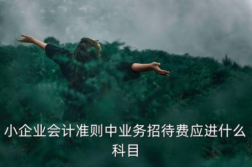 小企業(yè)發(fā)生的業(yè)務(wù)招待費(fèi)通過什么科目核算，業(yè)務(wù)招待費(fèi)屬于什么會計(jì)科目