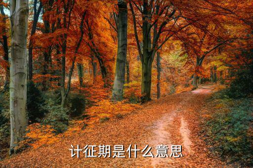 計征單價什么意思，求FOB報價計算方法產品出貨量1000PCS單價70RMB不含稅