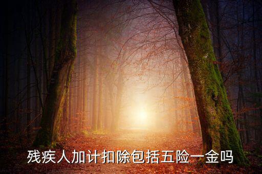 殘疾人加計(jì)扣除是什么意思，福利企業(yè)殘疾職工工資百分百加計(jì)扣除是怎么回事