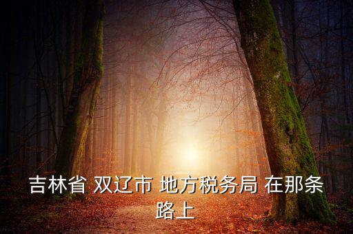 吉林市地稅局在什么位置，吉林市地方稅務(wù)局第二直屬稅務(wù)局在哪個區(qū)