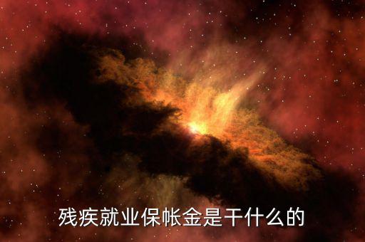 殘疾人保障金有什么用，殘疾就業(yè)保帳金是干什么的