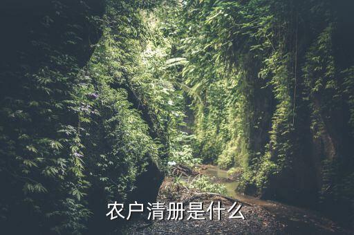 辦稅事項(xiàng)清冊是什么，會計(jì)檔案移交清冊什么意思