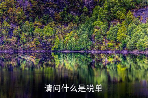 納稅申報(bào)單是什么，網(wǎng)上申報(bào)納稅都是什么報(bào)表 如何操作 簡單么