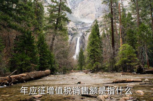 年度應(yīng)征額是什么意思，年應(yīng)征增值稅銷售額是指什么