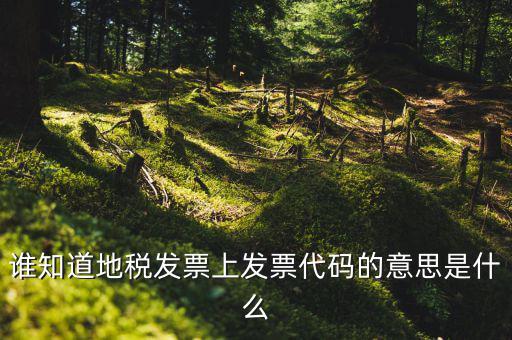 河北地稅發(fā)票的查詢碼是什么意思，如何查詢地稅發(fā)票開票點(diǎn)注冊(cè)碼是什么