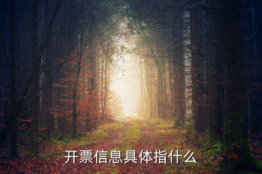 什么是開票信息，word開票信息是什么意思
