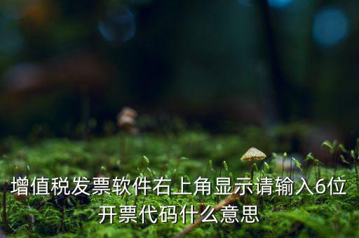 發(fā)票查詢校驗(yàn)碼后六位是什么，發(fā)票驗(yàn)證碼是什麼