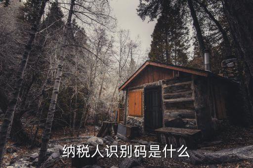 稅務(wù)識(shí)別碼有什么用，納稅人識(shí)別碼是什么