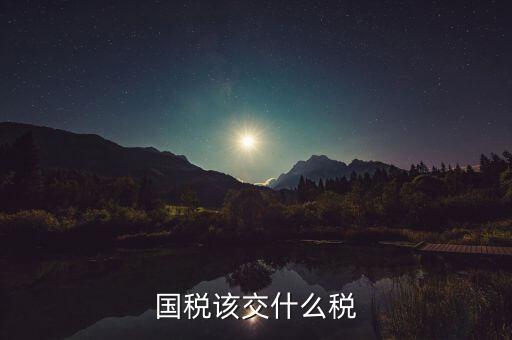 國(guó)稅要交什么稅，國(guó)稅地稅各交什么稅種