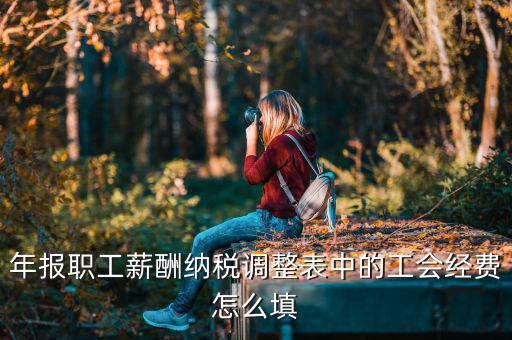 工會(huì)經(jīng)費(fèi)減除項(xiàng)填什么，網(wǎng)上報(bào)稅時(shí)又多了一項(xiàng)工會(huì)經(jīng)費(fèi)怎樣填寫計(jì)算