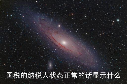 國(guó)稅的納稅人狀態(tài)正常的話(huà)顯示什么