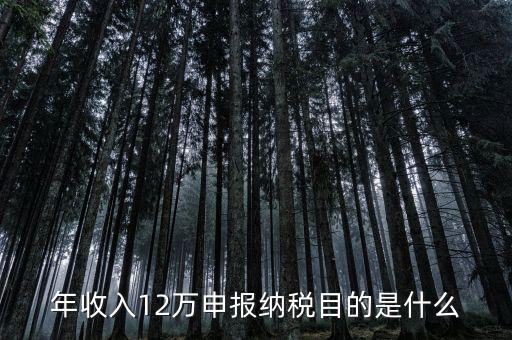 為什么12萬(wàn)要報(bào)稅，年收入12萬(wàn)個(gè)稅申報(bào)為什么要申報(bào)