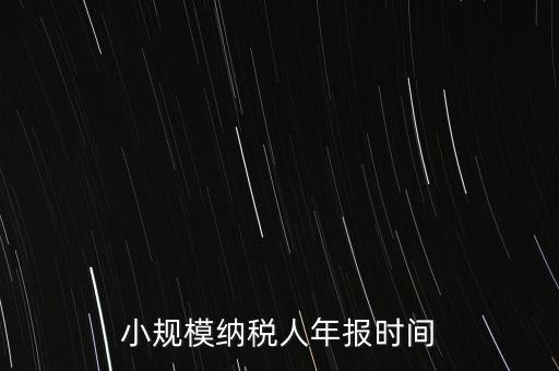 納稅申報年報什么時候，小規(guī)模納稅人年報時間