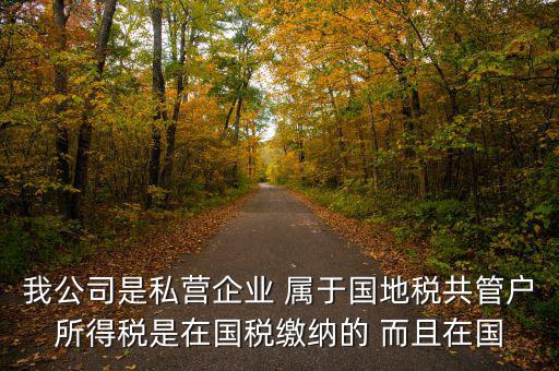 國地共管需要叫什么稅，國稅地稅共管公司都需要每個月報稅嗎意思就是說我每個月地稅