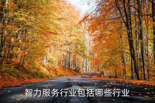 涉稅專業(yè)服務(wù)機(jī)構(gòu)包括什么，智力服務(wù)行業(yè)包括哪些行業(yè)