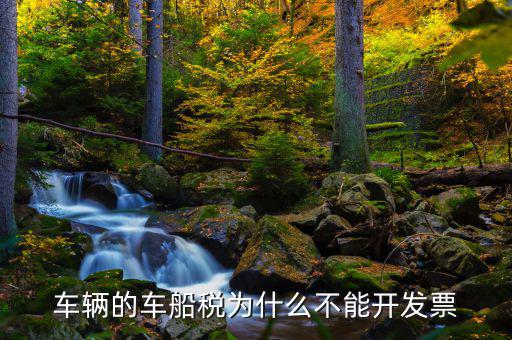 為什么車船稅沒有發(fā)票，車輛的車船稅為什么不能開發(fā)票