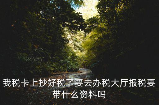 報稅廳抄報需要帶什么資料，抄稅需要帶些什么資料