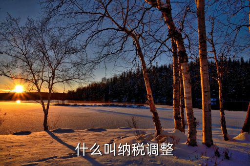 什么是納稅調(diào)整減少額，納稅調(diào)整增加額和減少額都包括哪些項(xiàng)目