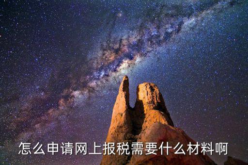 網(wǎng)上國稅報稅需要什么資料，怎么申請網(wǎng)上報稅需要什么材料啊