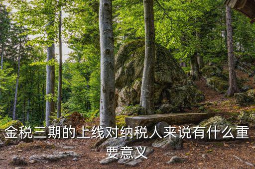 金三稅系統(tǒng)什么時(shí)間上線的，2016年金稅三期上線那金稅三期到底是啥呢