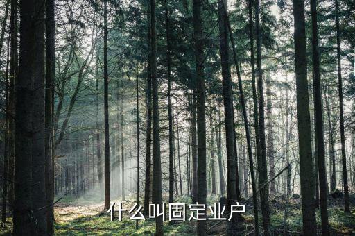 什么叫固定業(yè)戶，木耳加工企業(yè)從固定業(yè)戶收購(gòu)木耳能開具農(nóng)產(chǎn)品收購(gòu)發(fā)票嗎