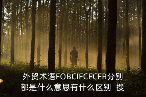 什么是被指定國別報告，什么是SGS