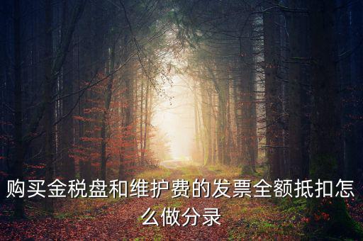 購(gòu)買(mǎi)金稅盤(pán)和維護(hù)費(fèi)的發(fā)票全額抵扣怎么做分錄