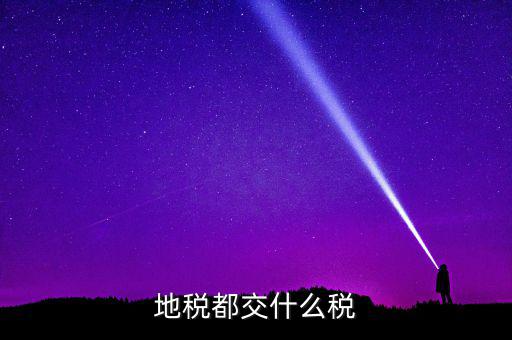 地稅要交什么稅，地稅應交哪些稅