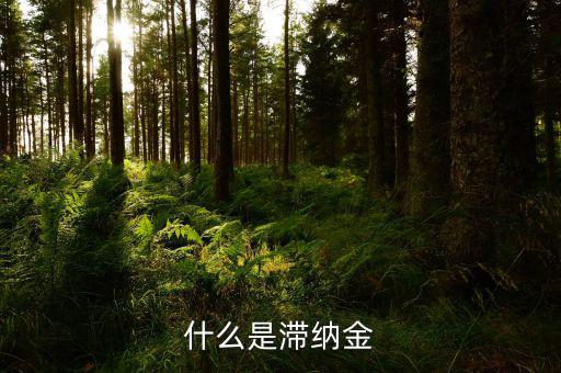 稅務(wù)局的滯納金是什么，個人所得稅滯納金是什么阿我交稅得單子上有