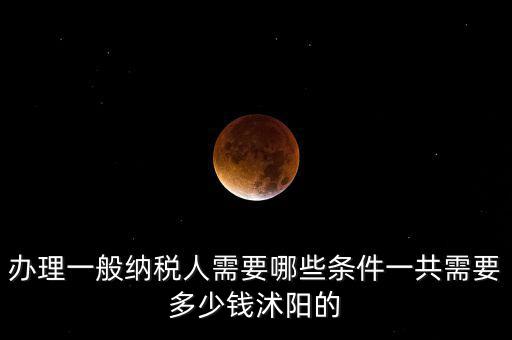 納稅人需求是什么，申請一般納稅人有什么要求嗎需滿足哪些條件華廈投資可以代為申