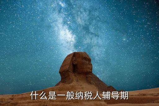 一般納稅人有輔導(dǎo)期是什么意思，什么是輔導(dǎo)期一般納稅人