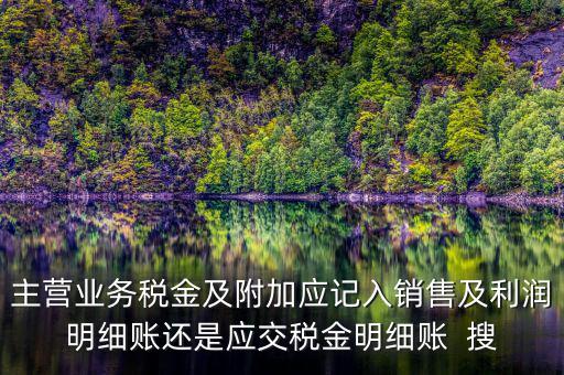 主營(yíng)業(yè)務(wù)稅金及附加應(yīng)記入銷(xiāo)售及利潤(rùn)明細(xì)賬還是應(yīng)交稅金明細(xì)賬  搜
