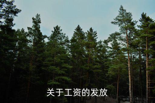 為什么沒(méi)有稅務(wù)帽，跑跑卡丁車(chē)怎么玩
